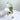 Lemurian Clear Quartz Green Chlorite Inclusions Crystal Cluster - KUSHROX Crystal Gallery