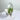 Lemurian Clear Quartz Green Chlorite Inclusions Crystal Cluster - KUSHROX Crystal Gallery