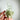 Lemurian Clear Quartz Green Chlorite Inclusions Crystal Cluster - KUSHROX Crystal Gallery