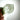 Lemurian Clear Quartz Green Chlorite Inclusions Crystal Cluster - KUSHROX Crystal Gallery