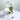 Lemurian Clear Quartz Green Chlorite Inclusions Crystal Cluster - KUSHROX Crystal Gallery