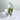 Lemurian Clear Quartz Green Chlorite Inclusions Crystal Cluster - KUSHROX Crystal Gallery