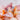 SUPER RARE Red Phantom Quartz Crystal Clusters, High Grade Quality - KUSHROX Crystal Gallery