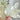 Lemurian Clear Quartz Green Chlorite Inclusions Crystal Cluster - KUSHROX Crystal Gallery