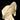 Vault Piece 113: The Imperial Summit layered calcite with pyrite frosting, beige-gold hues, mounted Kushrox crystal decor
