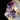 Kushrox Amethyst Elestial Skeletal Raw Crystal Point on rock matrix, purple facets, Madagascar.