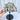 HIGH GRADE Lemurian Chrysanthemum Raw Quartz Crystal Cluster on Rotating Stand - KUSHROX Crystal Gallery
