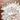 HIGH GRADE Lemurian Chrysanthemum Clear Quartz Crystal Cluster - KUSHROX Crystal Gallery