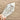 LARGE AAA+ GRADE Faceted Clear Quartz Polished Crystal DT Double Terminated Point - KUSHROX Crystal Gallery
