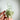 Lemurian Clear Quartz Green Chlorite Inclusions Crystal Cluster - KUSHROX Crystal Gallery