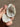 Clear Quartz Crystal Geode - KUSHROX Crystal Gallery