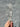 Selenite Clear Crystal Raw Charging Slice Wand - KUSHROX Crystal Gallery