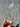 Selenite Clear Crystal Raw Charging Slice Wand - KUSHROX Crystal Gallery