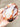 AAA+ Grade Fire Quartz Golden Healer Crystal Free Form Carving - KUSHROX Crystal Gallery