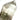 Garden Quartz Crystal Generator Tower - KUSHROX Crystal Gallery