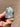 Grey Labradorite Crystal Free Form - KUSHROX Crystal Gallery
