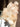 Huge Museum Grade Bespoke Tangerine Quartz Crystal Cluster Statement Piece - KUSHROX Crystal Gallery