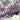 Amethyst Crystal Geode Statement Piece - Extra Large - KUSHROX Crystal Gallery