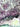 Amethyst Crystal Geode Statement Piece - Extra Large - KUSHROX Crystal Gallery
