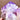 Large Elestial Skeletal Bolivian Amethyst Crystal Cluster - Freestanding - KUSHROX Crystal Gallery