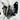Large Raw Black Quartz Crystal Cluster Statement Piece on Stand - KUSHROX Crystal Gallery