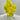 RARE FIND💛Bespoke Yellow Sulfur Specimen Crystal Statement Piece - KUSHROX Crystal Gallery