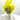 RARE FIND💛Bespoke Yellow Sulfur Specimen Crystal Statement Piece - KUSHROX Crystal Gallery