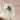 RARE Lemurian Samadhi Himalayan Quartz, Green Chlorite Inclusions, Crystal Cluster on Stand - KUSHROX Crystal Gallery