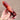 SET OF 2 - AAA+ Grade Fire Quartz Crystal Points with Rainbow Flashes - KUSHROX Crystal Gallery