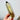 Smokey Citrine Quartz Crystal Generator Points Towers, Phantom Lines - KUSHROX Crystal Gallery