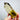 Smokey Citrine Quartz Crystal Generator Points Towers, Phantom Lines - KUSHROX Crystal Gallery