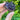 Amethyst Crystal Cluster Hearts - KUSHROX Crystal Gallery