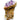 Amethyst Crystal Cluster - KUSHROX Crystal Gallery