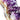 Amethyst Crystal Cluster - KUSHROX Crystal Gallery