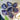 Amethyst Crystal Raw Piece - KUSHROX Crystal Gallery