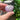 Amethyst Crystal Tumbled Stone Egg - KUSHROX Crystal Gallery