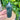 Apatite Crystal Generator Tower - Medium - KUSHROX Crystal Gallery