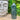 Apatite Crystal Generator Tower - Medium - KUSHROX Crystal Gallery