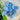 Blue Agate Crystal Tumbled Stone - KUSHROX Crystal Gallery