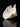 Clear Quartz Crystal Cluster - KUSHROX Crystal Gallery