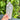 Clear Quartz Crystal Raw Generator Tower - KUSHROX Crystal Gallery
