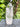 Clear Quartz Crystal Raw Generator Tower - KUSHROX Crystal Gallery