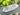 Clear Quartz Crystal Raw Generator Tower - KUSHROX Crystal Gallery