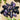Dark Amethyst Crystal Tumbled Stone - KUSHROX Crystal Gallery