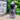 Dream Amethyst Crystal Generator Tower - KUSHROX Crystal Gallery