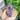 Dream Amethyst Crystal Generator Tower - KUSHROX Crystal Gallery