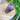 Dream Amethyst Crystal Generator Tower - KUSHROX Crystal Gallery