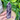 Dream Amethyst Crystal Generator Tower - KUSHROX Crystal Gallery