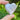 Flower Agate Crystal Heart - KUSHROX Crystal Gallery