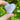 Flower Agate Crystal Heart - KUSHROX Crystal Gallery